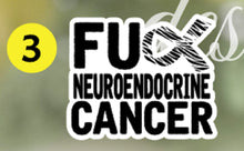 Load image into Gallery viewer, Team Whitney Stickers - Perfect to use on cups, computers, notebooks, & more!